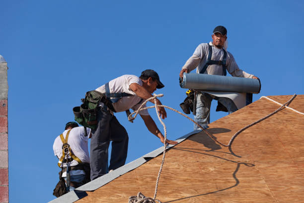 Best Storm Damage Roof Repair  in Bay Springs, MS