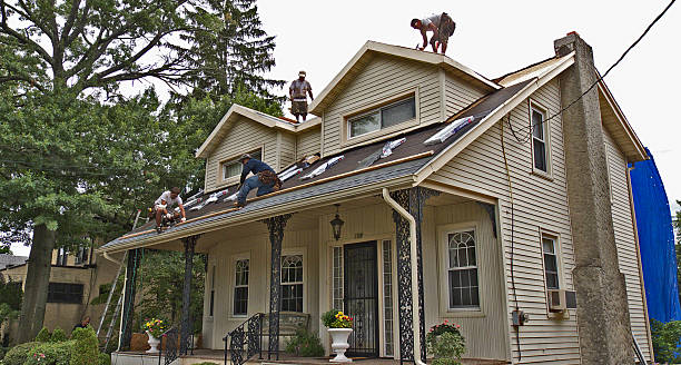 Best Local Roofing Companies  in Bay Springs, MS
