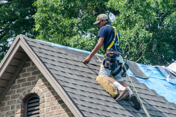 Best Roof Maintenance Services  in Bay Springs, MS